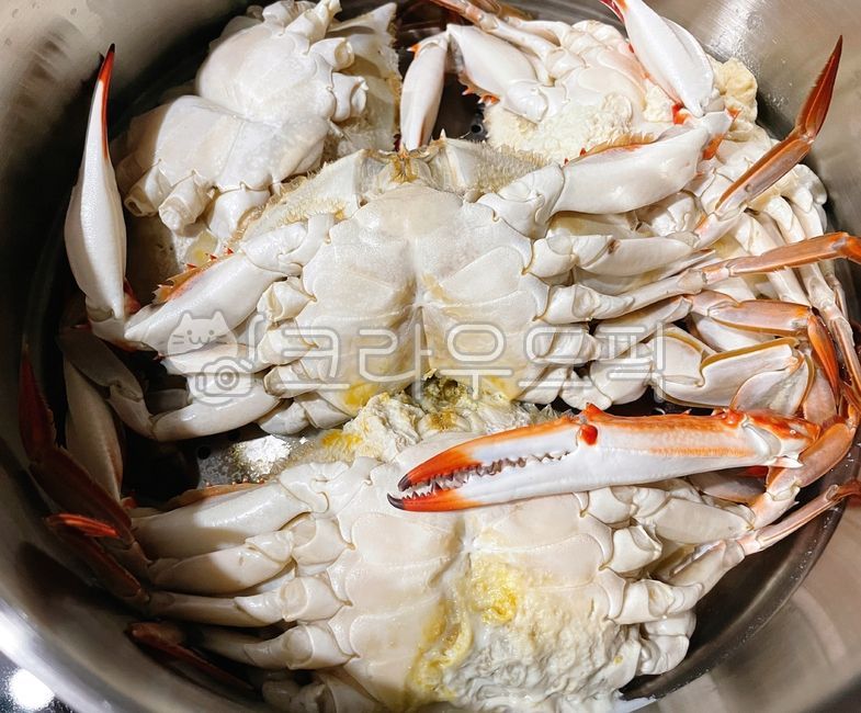 꽃게찜, 게찜, 찜, 꽃게, 암꽃게, 사진,이미지,일러스트,캘리그라피 - 먹방작가
