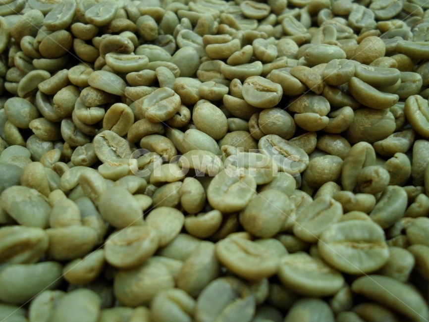 커피콩,생두,원두,wholebean,bean,coffee,커피,카페,coffee,cafe