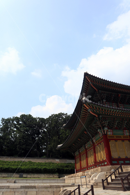 창덕궁,인정전,한국의궁,세계문화유산,문화유산,한국건축물,건축외관,과거,오래된,궁궐,서울,관광,나무,비원,한국랜드마크,랜드마크,한국관광지,한국명소,유형문화재,처마,지붕,숲,기와,검정,녹색,하늘,한국의미,한국전통,한국문화,korean traditional,korean culture,건축물,건물외관,exterior,building,structure,architecture,construction