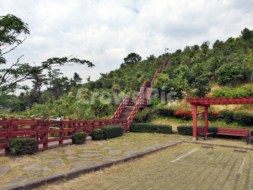 베릿내오름,목책,올레8코스,올레길,제주,서귀포시,자연,풍경,nature,landscape,bench,벤치