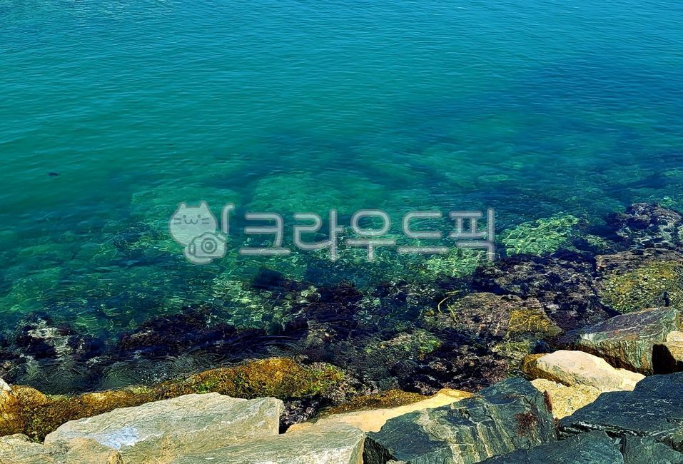 바다,돌,바위,물,해변,물가,sea