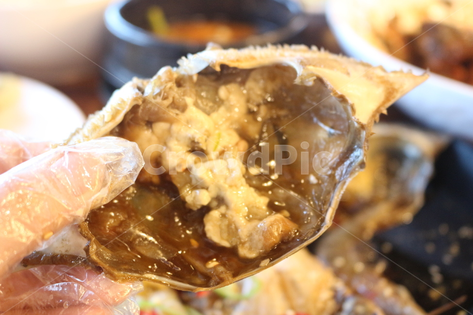 간장게장,crab,게딱지,food,koreafood,soycrab,간장게장정식,음식,식재료,요리,food,cook,meal,dishes,food reserves,수산물,해산물,fishery products,seafood,한식,한국음식,한국요리,korean food,korean dishes,korean meal,korean cook