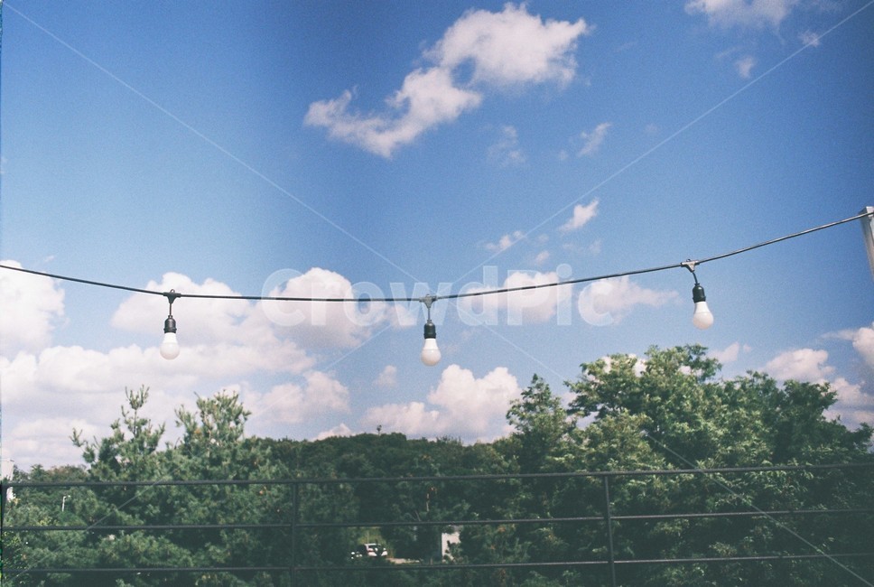전구,하늘,나무,sky,tree,bulb,필카