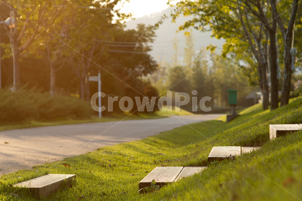 grass,잔디,plant,공원,계단,휴식,자연,풍경,nature,landscape,식물
