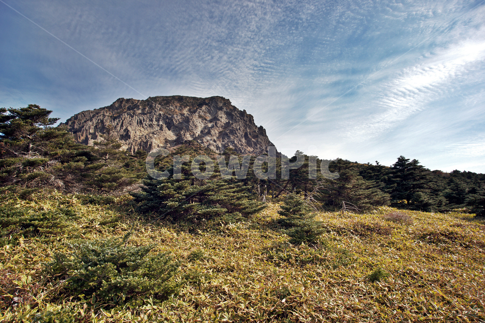 한라산,한라산국립공원,제주도,암벽,돈내코코스,활엽수림,난대성식물,조릿대