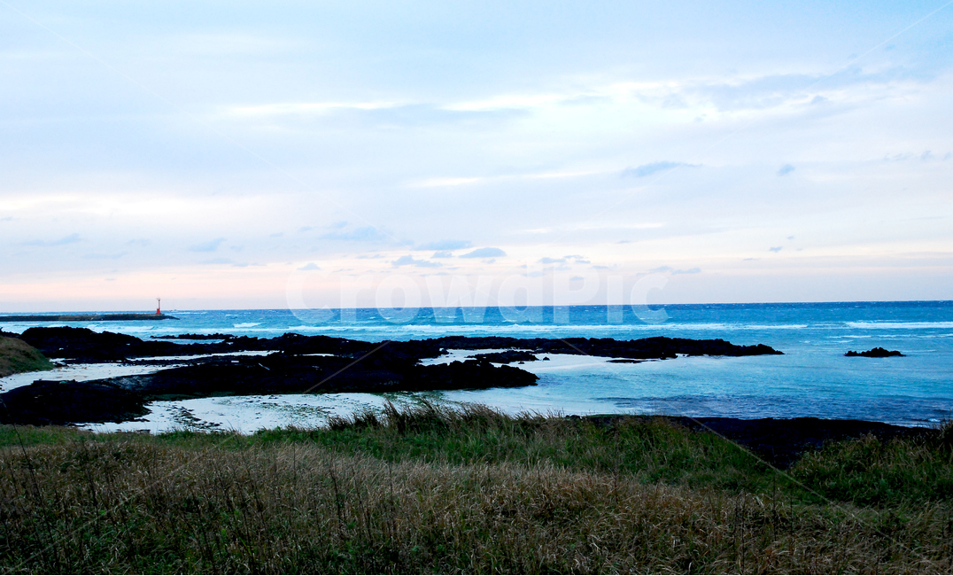 제주도,바다,하늘,갈대,노을,자연,풍경,nature,landscape,한국자연풍경,한국자연경관,korea nature landscape,제주도,jeju,jeju island,land,땅,outdoors,옥외,water,물