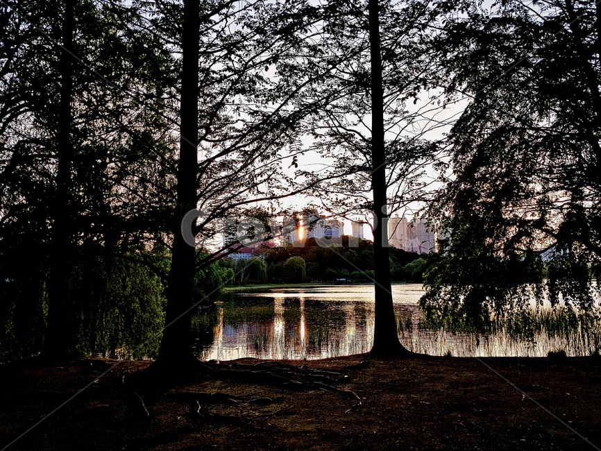 노을,일몰,풍경,가을,호수공원,호수,나무,식물,tree,자연,풍경,nature,landscape