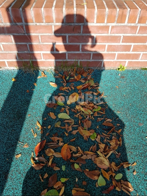 가을,그림자,낙엽,놀이터,여자