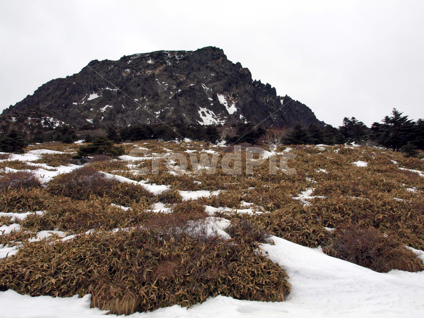 어리목,한라산,제주도,겨울,겨울산,설화,설목,설경,눈,등산,백록담,겨울,계절,winter,season,자연,풍경,nature,landscape,plateau,고원,outdoors,옥외,land,땅,tundra,동토대