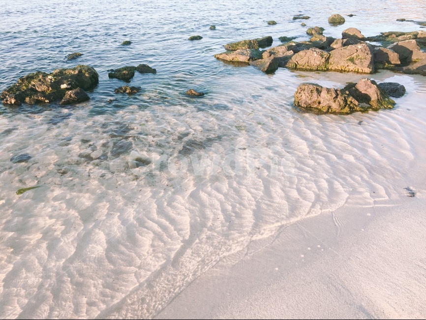 바다,해변,beach,sea,파도,바위,자연,따뜻한,해변,바다,beach,sea,감성,sensible,feeling
