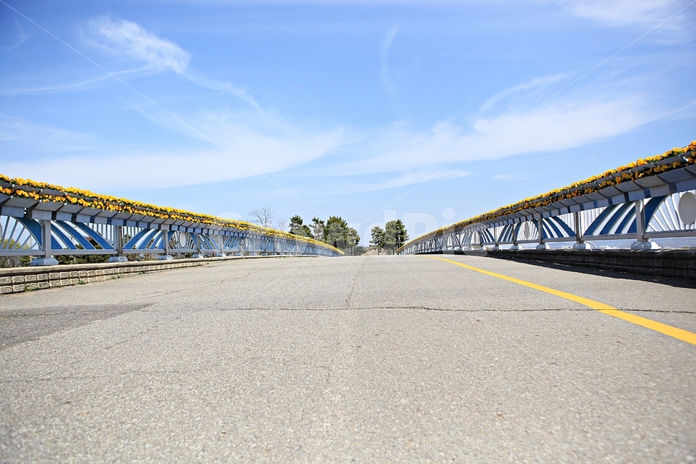 다리,꽃,풍경,자연,배경,자연,풍경,nature,landscape,road,도로