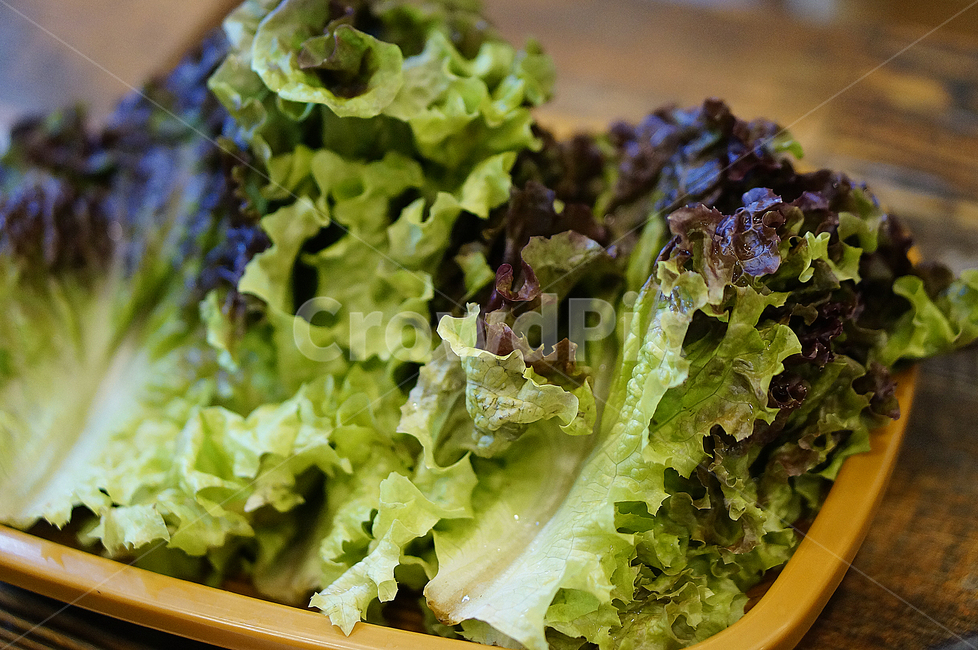 상추,고기,쌈,야채,plant,음식,food,vegetable,한식,음식,식재료,요리,food,cook,meal,dishes,food reserves,채소,야채,vegetables
