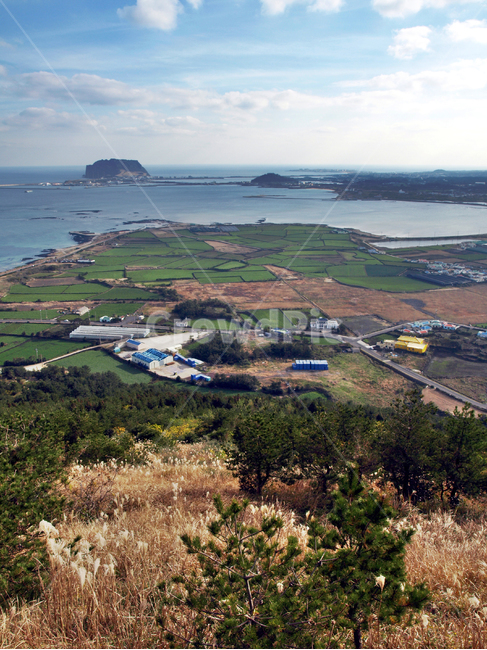 지미봉,오름,올레21코스,올레,제주,성산일출봉,바다,마을,전원,종달포구,억새,제주도,jeju,jeju island,시골,마을,풍경,landscape,country,rural,town,land,땅,outdoors,옥외,nature,자연,scenery,경치,water,물,ocean,대양,sea,shoreline,해안선