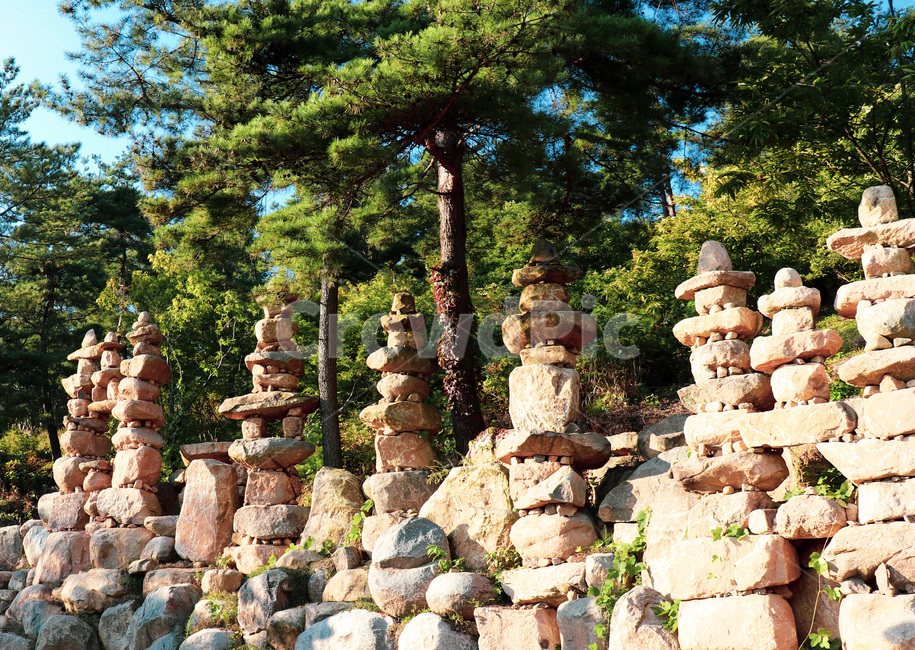 탑,tower,stonetower,돌탑,나무,tree,architecture,건축물