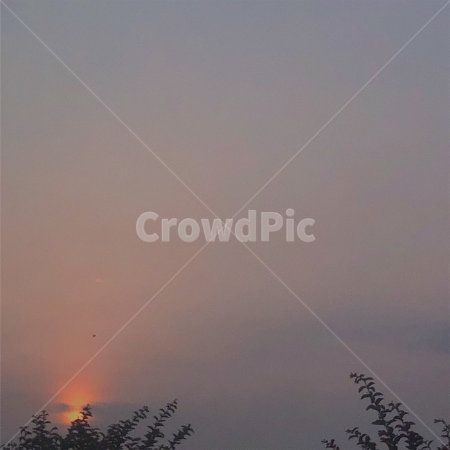 하늘,노을,나무,sky,sunset