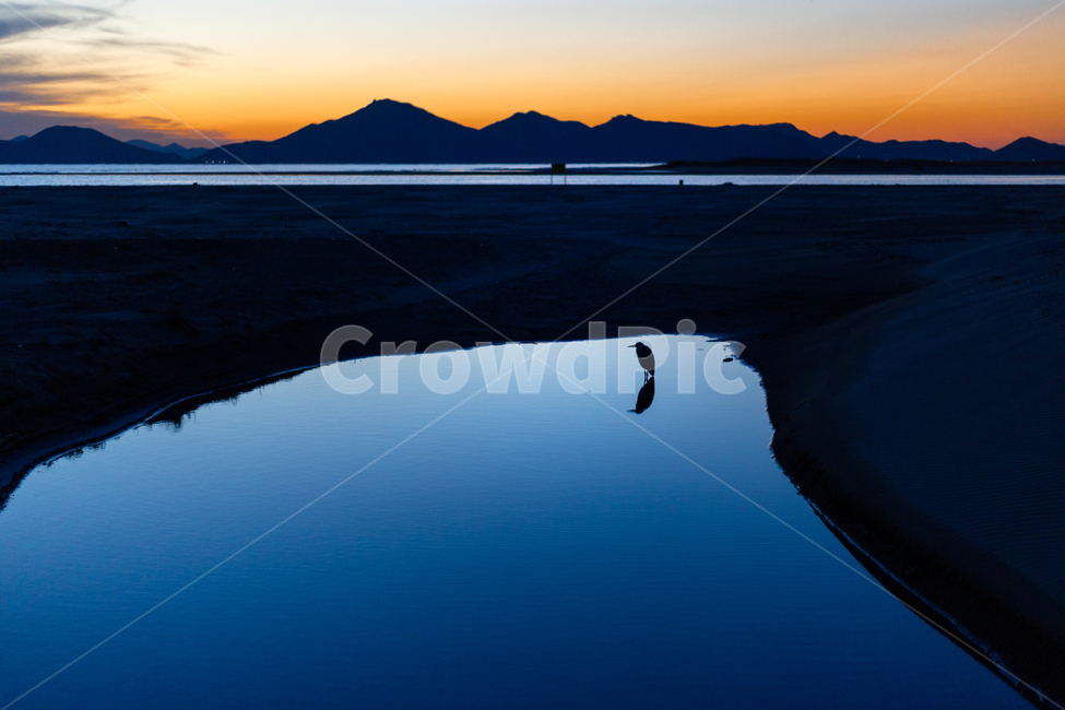 바다,새,노을,일몰,풍경,야경,자연,풍경,nature,landscape,한국자연풍경,한국자연경관,korea nature landscape,outdoors,옥외