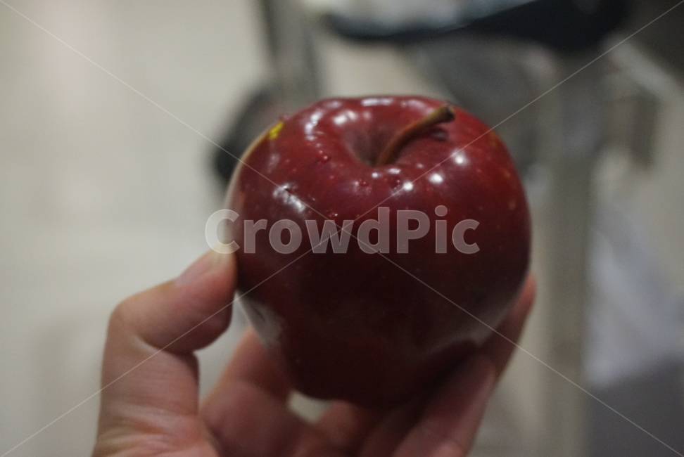 사과,apple,과일,fruit,손,hand