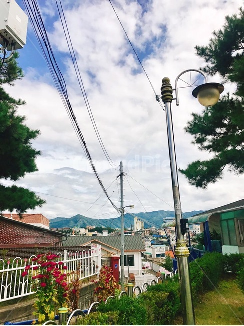 동네,하늘,가을,가로수,동네길