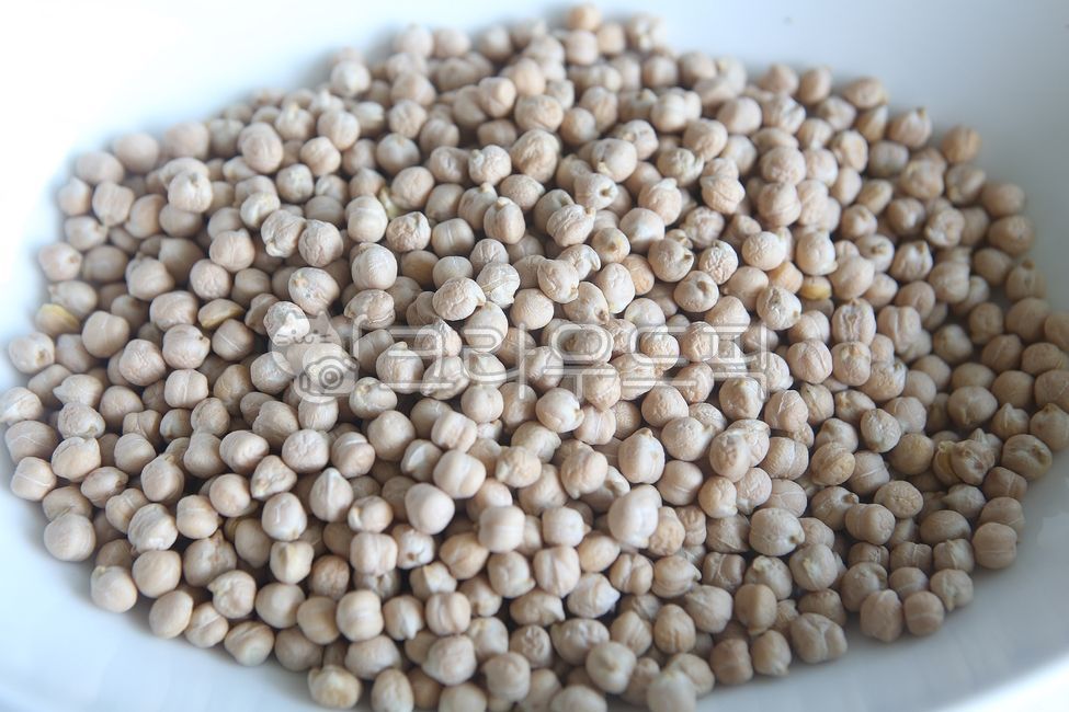 병아리콩,콩,콩종류,말린콩,푸드