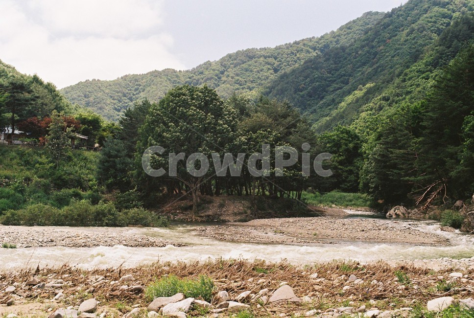 숲,산,나무,자연,계곡,풍경,landscape,forest,tree,nature,valley,돌,rock,자연,풍경,nature,landscape,gravel,자갈,dirt road,흙길,road,도로,ground,바닥,outdoors,옥외