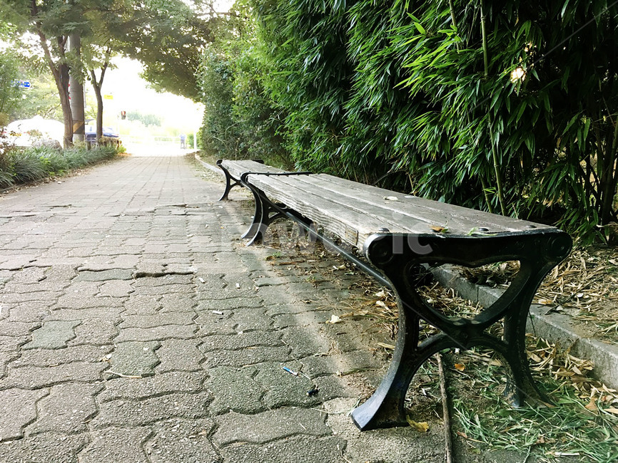 나무벤치,벤치,야외의자,휴식,의자,야외,산책,나무,고독,보도블럭,길가,자연,풍경,nature,landscape,bench,park bench,공원 벤치