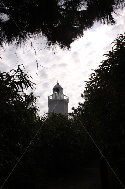 등대,자연,building,tower,탑,건물,architecture,건축물,등대,lighthouse