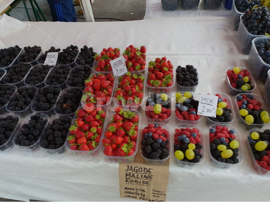 과일,포도,딸기,식재료,음식,fruit,grape,berry,food,시장,마트,마켓,market,mart,market place,음식,식재료,요리,food,cook,meal,dishes,food reserves,과일,열매,fruit