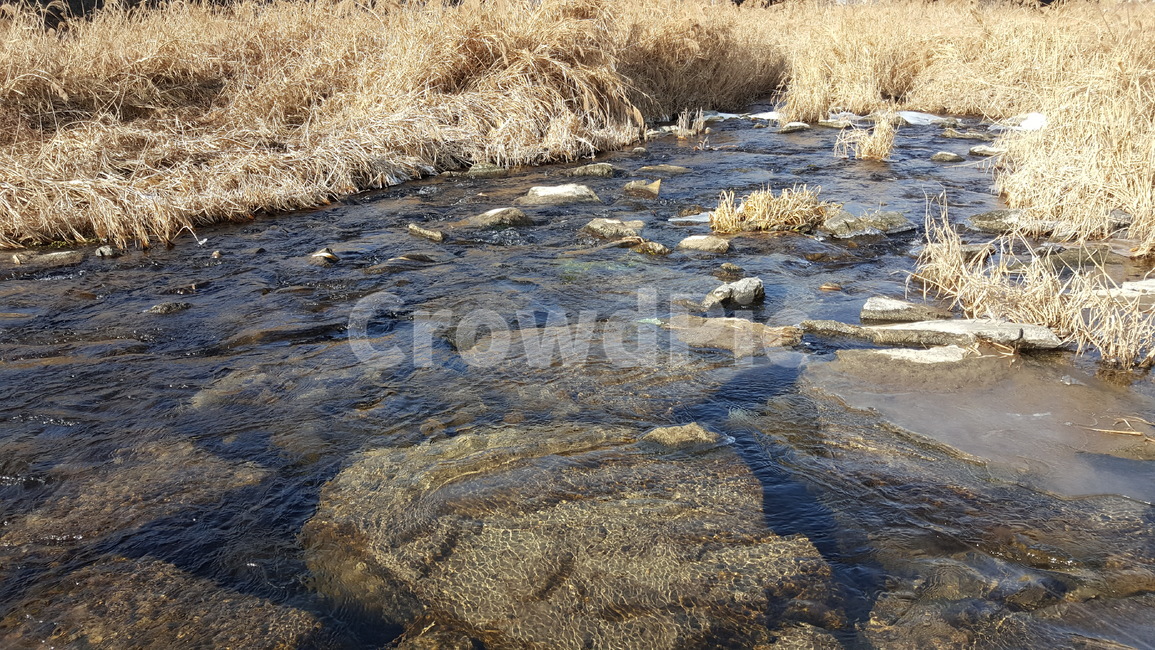 겨울,산책로,풍경,자연,감성,느낌,추위,물,얼음,겨울,계절,winter,season,자연,풍경,nature,landscape,water,outdoors,옥외,land,땅