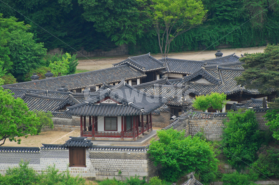 창덕궁,낙선재,한옥,기와집,기와,집,주택,전통,한국,한국전통,전통건축,전통건축물,가옥,전통가옥,조선시대,담,담장,돌담,민속,나무,숲,자연,풍경,하이앵글,탑앵글,궁,궁궐,서울,명소,한국전통,한국문화,korean traditional,korean culture,랜드마크,landmark,tourist attraction,한국랜드마크,한국관광지,한국명소,korea landmark,korea tourist attraction,건축물,건물외관,exterior,building,structure,architecture,construction