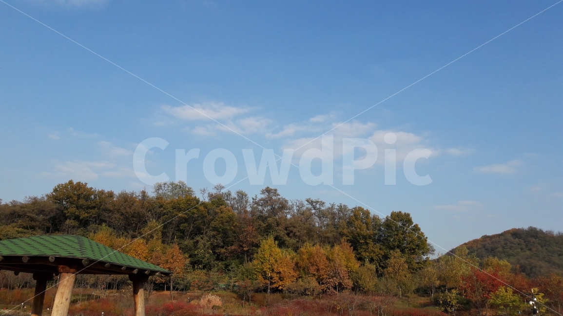 수목원,가을,단풍,하늘,구름,가을,계절,fall,autumn,season,자연,풍경,nature,landscape,outdoors,옥외,building,건물