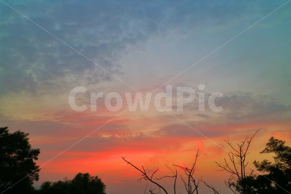 하늘,sky,자연,nature,해질녘,sunset,노을,저녁노을,풍경,view,나무,구름,자연,풍경,nature,landscape,outdoors,옥외,red sky,붉은 하늘,dusk,황혼,dawn,새벽,일몰