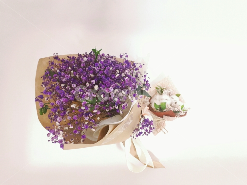 안개꽃,목화꽃,꽃다발,flower,고백