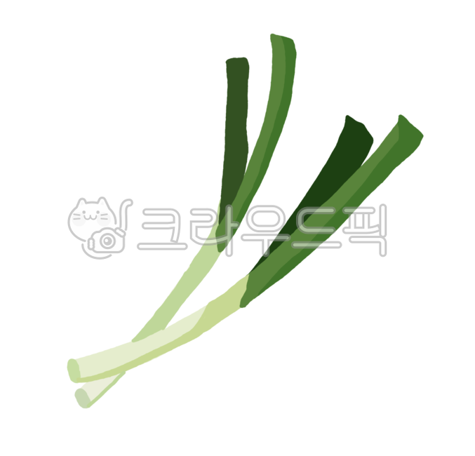 음식재료, 파, 대파, 음식, food, 사진,이미지,일러스트,캘리그라피 - 메워니작가