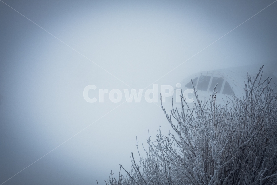 덕유산,겨울,설산,나무,눈,향적봉,무주,눈꽃,겨울산,폭설,정상,겨울,계절,winter,season,식물,자연,plants,nature