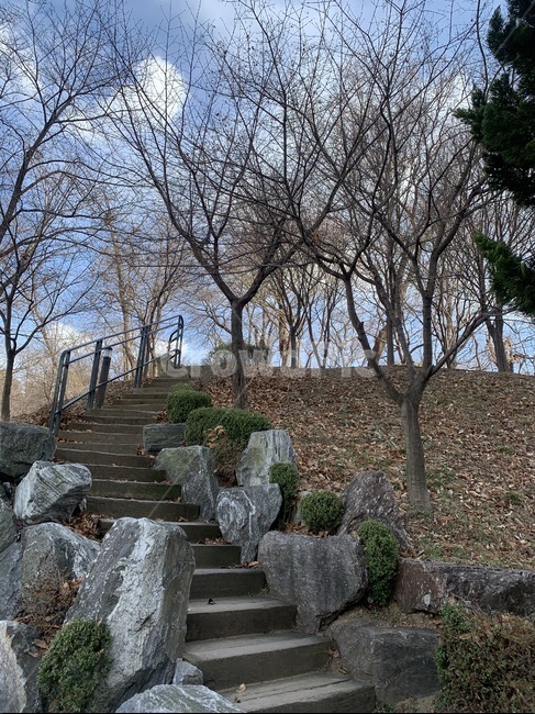 계단,하늘,산책로,구름,나무,자연,겨울,sky,tree,nature,winter,돌,정원,garden