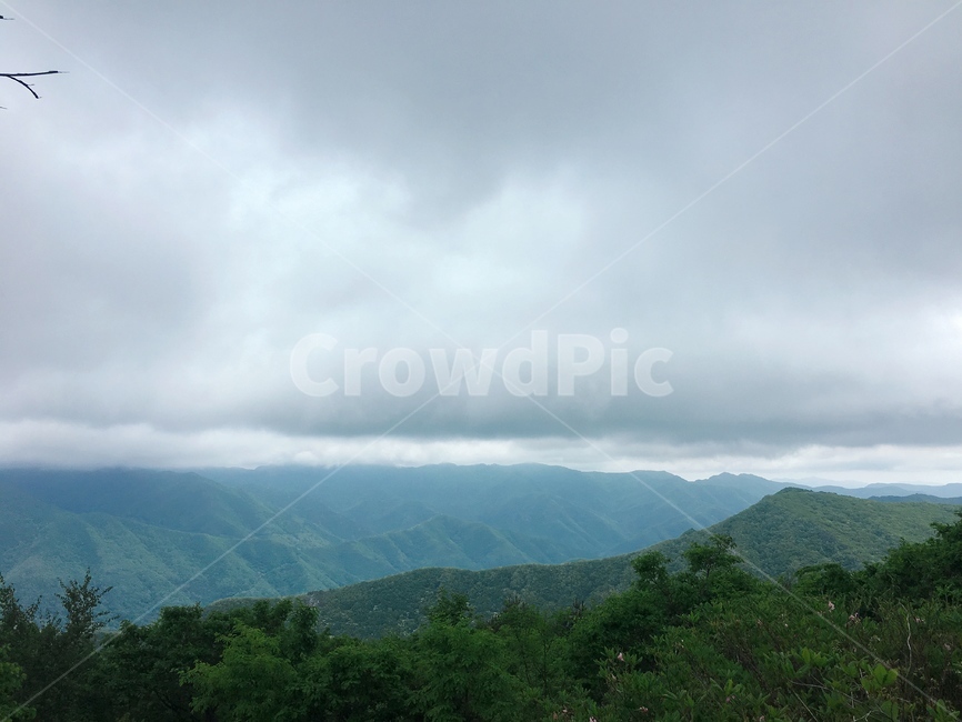 가지산,산등성이,등산,산풍경,나무,초록풍경,나무숲,숲
