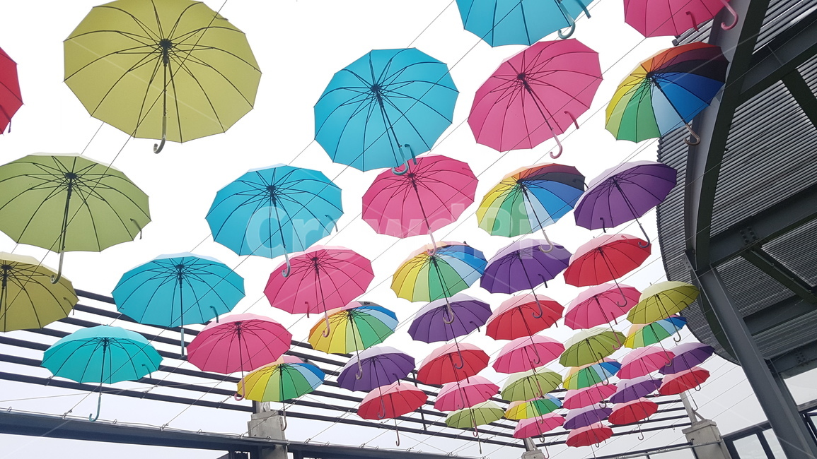 우산,흐림,umbrella,cloudy,cafe,카페,까페