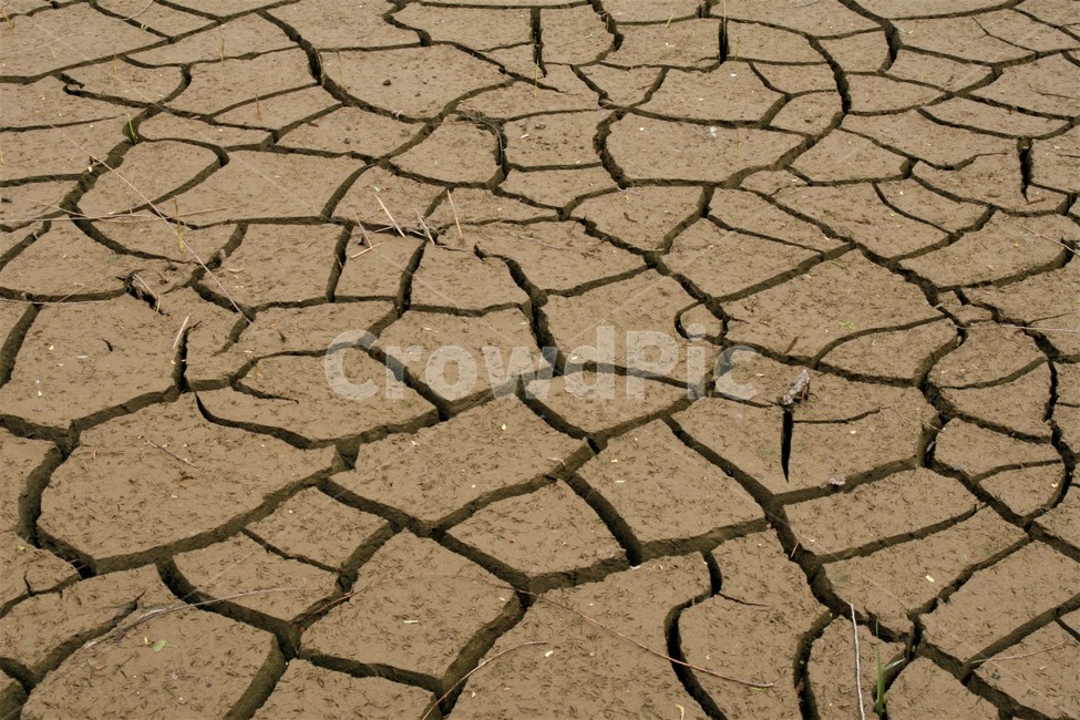 여름,가뭄,피해,갈라짐,날씨,자연,풍경,nature,landscape,soil,흙,ground,바닥