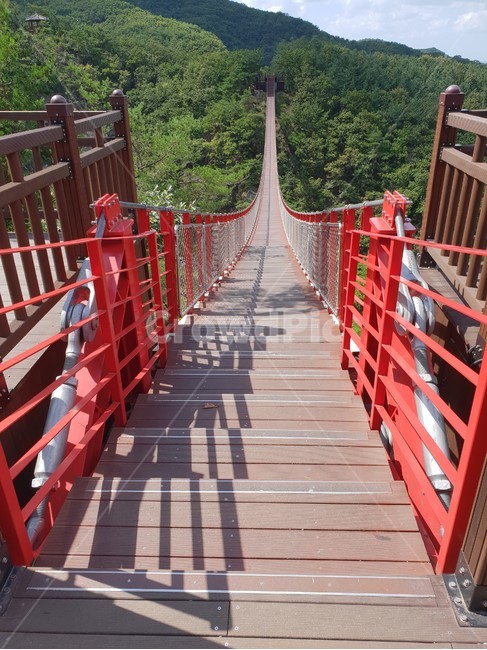 자연,풍경,힐링,시간,등산,봄