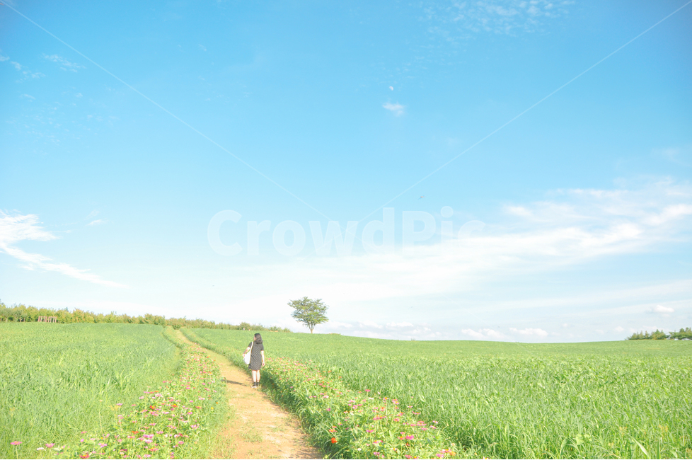 여행,데이트,사람,초원,구름,나홀로나무,하늘,여름,봄,봄,계절,spring,season,여름,summer,자연,풍경,nature,landscape,사람,인물,인간,human,person,여성,여자,woman,female,lady,여행,휴가,traveling,vacation,trip,휴식,힐링,rest,relaxation,healing,outdoors,옥외,field,들
