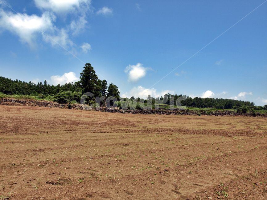 밭,올레3코스,올레,제주,서귀포,푸른하늘,흰구름,자연,자연,풍경,nature,landscape,ground,바닥,land,땅,outdoors,옥외