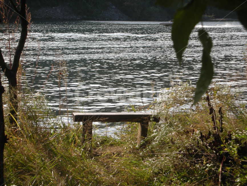 자연풍경,호수풍경,강,나뭇잎,숲,자연,풍경,nature,landscape