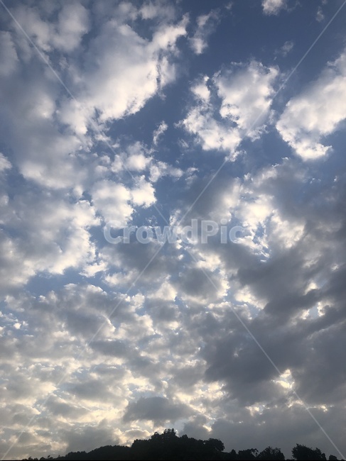하늘,구름,sky,cloud,nature,blue,파란,스카이,뭉게구름,풍경,자연,맑은,파아란,푸른,깨끗한