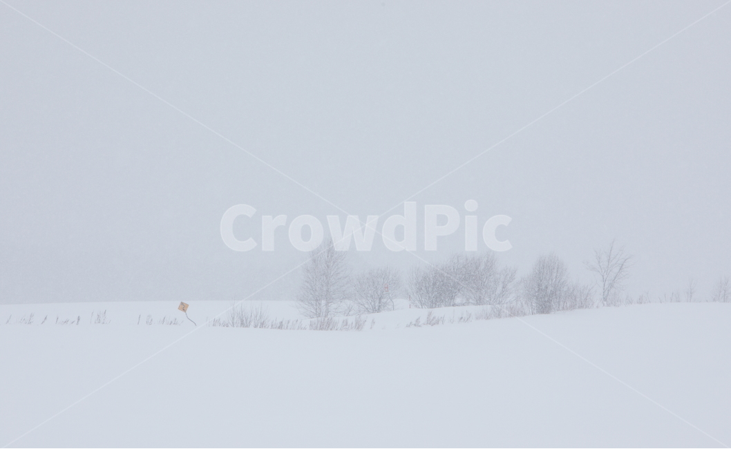 설경,눈,비에이,북해도,겨울풍경,snow,겨울,계절,winter,season,자연,풍경,nature,landscape,해외,외국,세계,foreign,oversea,world,세계자연풍경,해외자연풍경,외국자연풍경,world nature landscape,outdoors,옥외,storm,폭풍,blizzard,눈보라