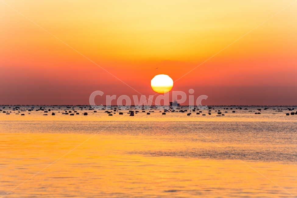 바닷가,고기잡이배,자연,풍경,일출,아침,자연,풍경,nature,landscape,outdoors,옥외,sky,하늘,dawn,새벽,red sky,붉은 하늘,dusk,황혼,sunset,일몰