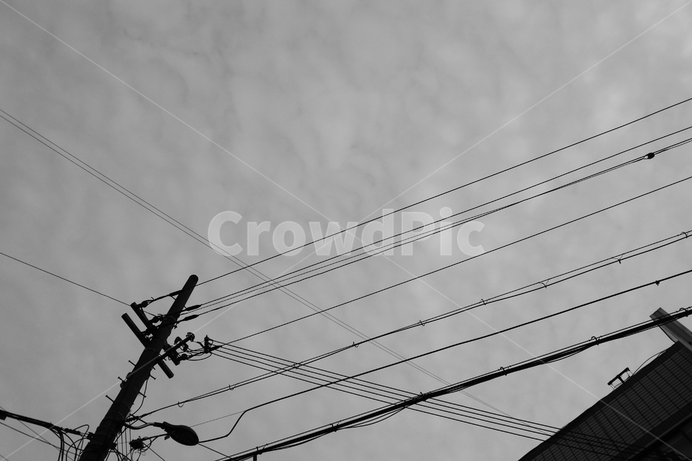 전봇대,전기줄,선,흑백,폐쇄적,흑백사진,흑백,모노톤,monochrome,black and white