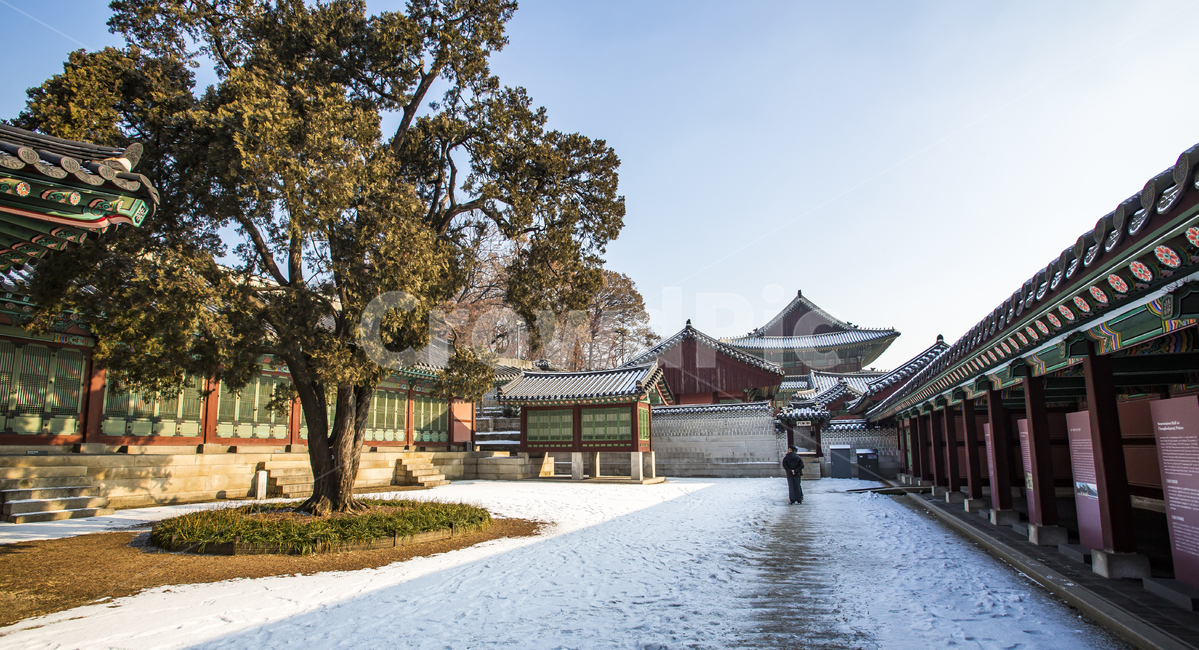 고궁,역사,서울,창덕궁,비원,조선,겨울,계절,winter,season,한국전통,한국문화,korean traditional,korean culture,랜드마크,landmark,tourist attraction,한국랜드마크,한국관광지,한국명소,korea landmark,korea tourist attraction,건축물,건물외관,exterior,building,structure,architecture,construction