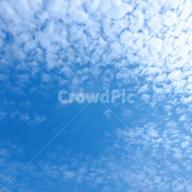 푸른하늘,하늘,sky,뭉게구름,적운,양떼구름,몽환적인,자연,풍경,nature,landscape,outdoors,옥외,azure sky,푸른 하늘