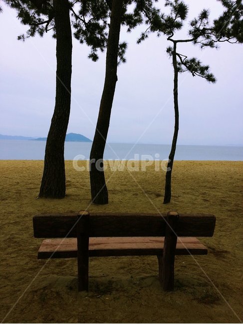 바다,소나무,해안가,수평선,섬,자연,풍경,nature,landscape,bench,벤치