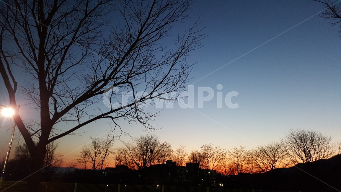 겨울,노을,일몰,석양,sunset,magichour,winter,개와늑대의시간,실루엣,자연,풍경,nature,landscape,실루엣,그림자,silhouette,shadow,outdoors,옥외,dusk,황혼,sky,하늘,dawn,새벽,red sky,붉은 하늘